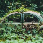 Auto-entrepreneur en jardinage : le parcours administratif simplifie